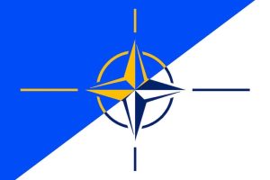 Webbinarium – Finlands och Sveriges väg in i NATO