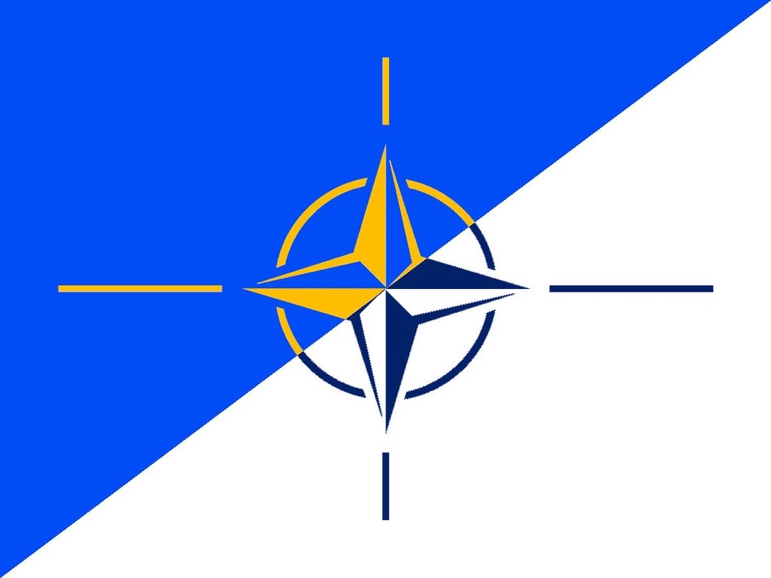 Webbinarium – Finlands och Sveriges väg in i NATO